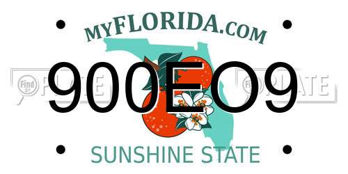 900EO9 Florida License Plate