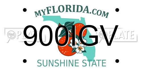 900IGV Florida License Plate