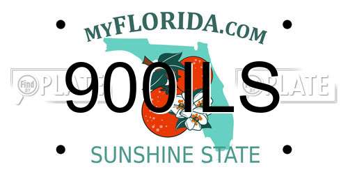 900ILS Florida License Plate
