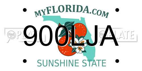 900LJA Florida License Plate