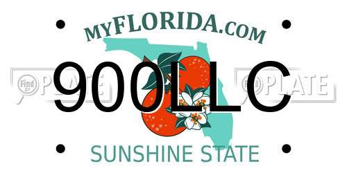 900LLC Florida License Plate