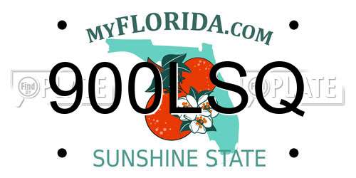 900LSQ Florida License Plate