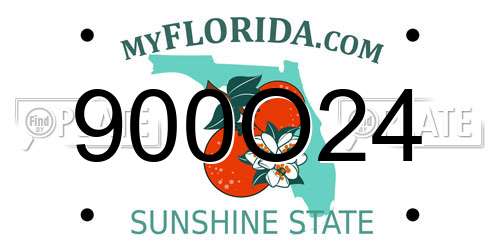 900O24 Florida License Plate