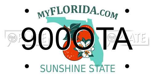 900OTA Florida License Plate