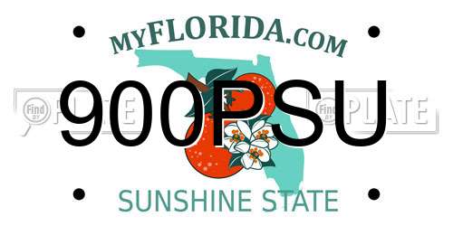 900PSU Florida License Plate