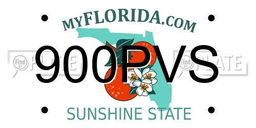 900PVS Florida License Plate