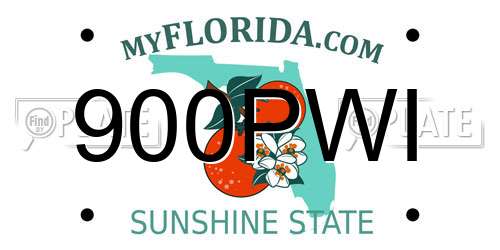 900PWI Florida License Plate