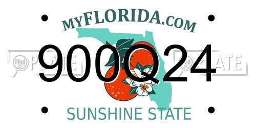 900Q24 Florida License Plate