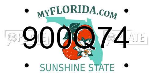 900Q74 Florida License Plate
