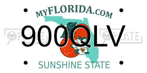 900QLV Florida License Plate