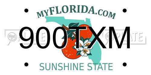 900TXM Florida License Plate