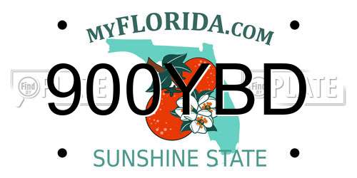 900YBD Florida License Plate