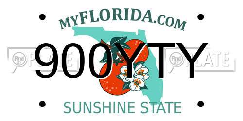 900YTY Florida License Plate