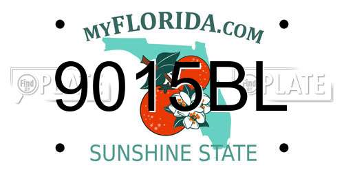 9015BL Florida License Plate