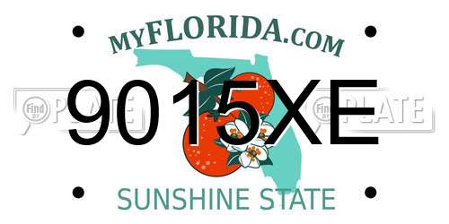 9015XE Florida License Plate