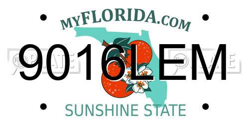 9016LEM Florida License Plate
