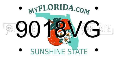 9018VG Florida License Plate