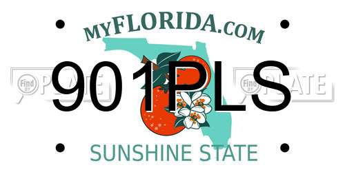 901PLS Florida License Plate