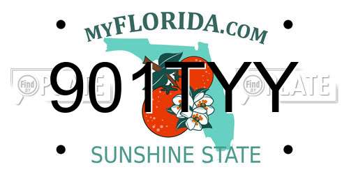 901TYY Florida License Plate