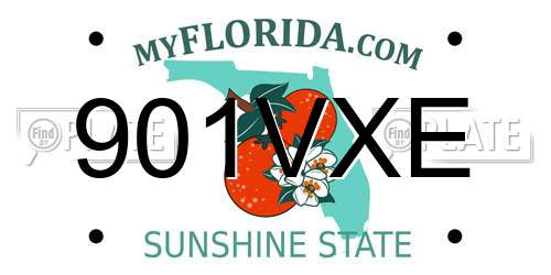 901VXE Florida License Plate