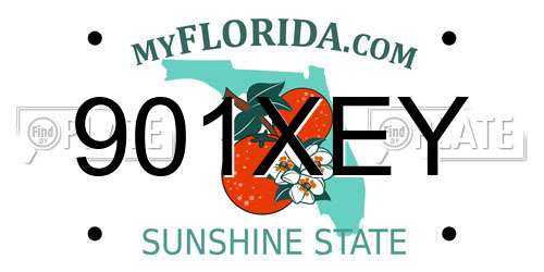 901XEY Florida License Plate