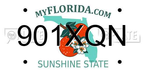 901XQN Florida License Plate