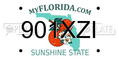 901XZI Florida License Plate