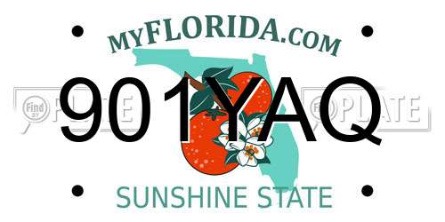 901YAQ Florida License Plate