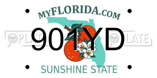 901YD Florida License Plate