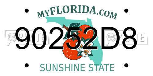 90252D8 Florida License Plate