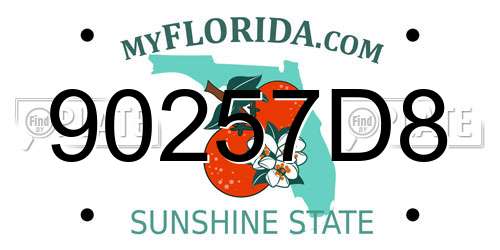 90257D8 Florida License Plate