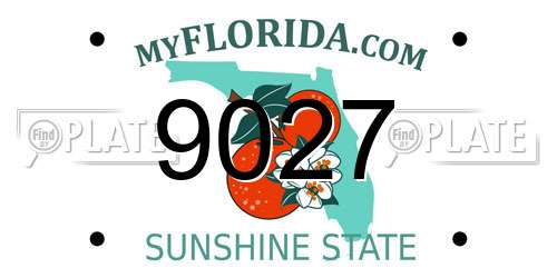 9027 Florida License Plate