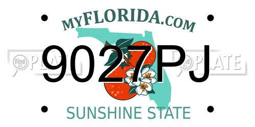 9027PJ Florida License Plate