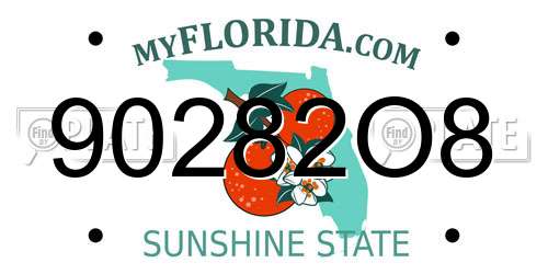 90282O8 Florida License Plate