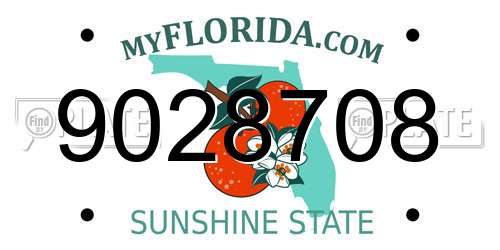 9028708 Florida License Plate