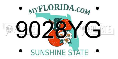 9028YG Florida License Plate