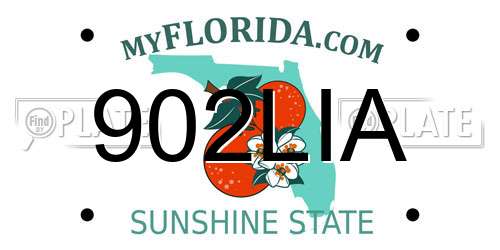 902LIA Florida License Plate