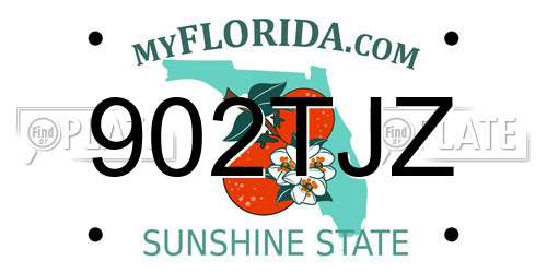 902TJZ Florida License Plate