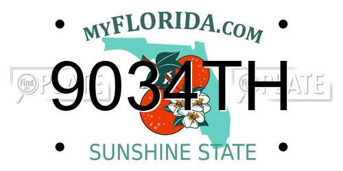 9034TH Florida License Plate