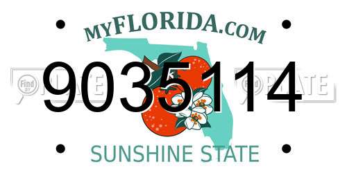 9035114 Florida License Plate