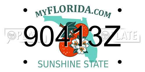 90413Z Florida License Plate