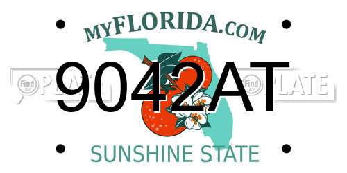 9042AT Florida License Plate