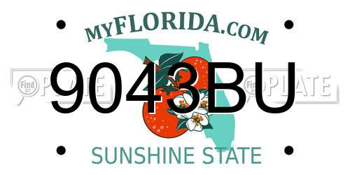 9043BU Florida License Plate