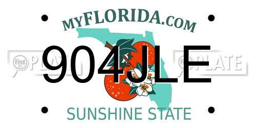 904JLE Florida License Plate