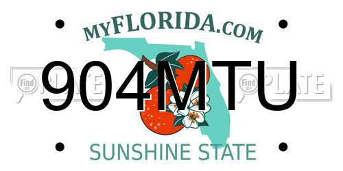 904MTU Florida License Plate