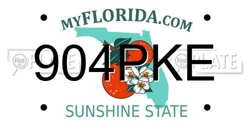 904PKE Florida License Plate