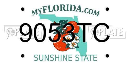 9053TC Florida License Plate