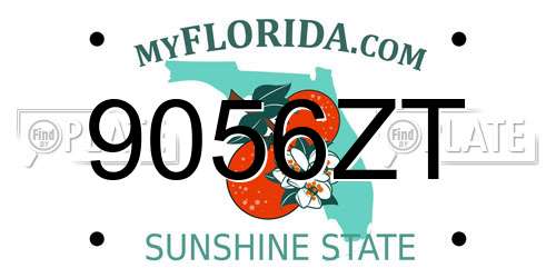 9056ZT Florida License Plate