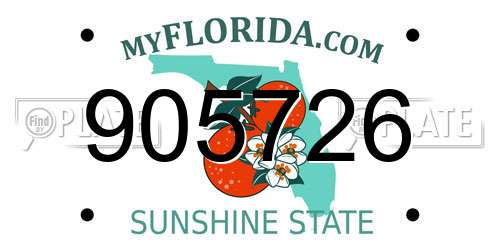 905726 Florida License Plate