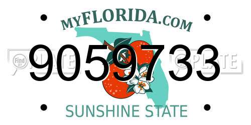 9059733 Florida License Plate